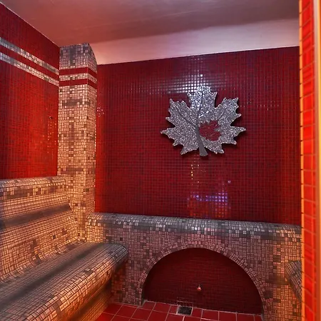 ホテル Wellness Javornik 3*