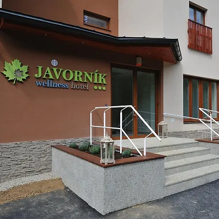 Hotel Wellness Javorník 3*