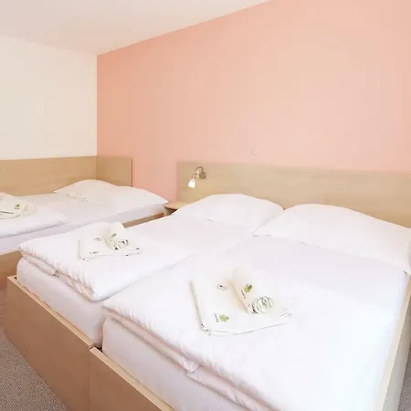 Hotel Wellness Javorník 3*