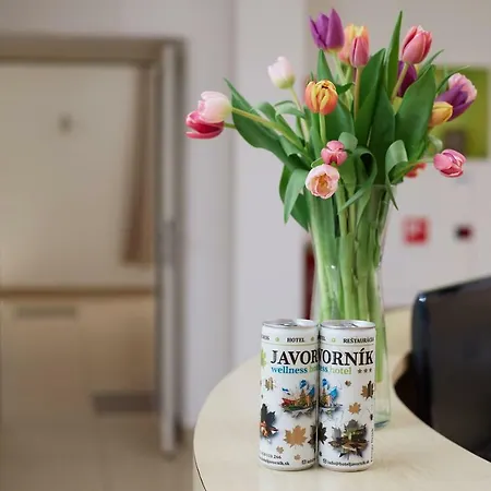 Wellness Javorník 3* Lazy pod Makytou